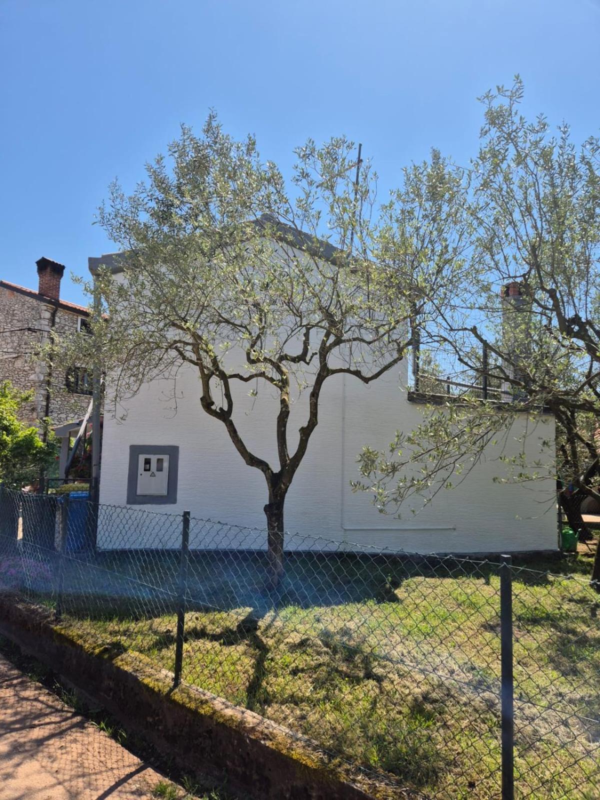 Kuca Za Odmor Petra Apartamento Cepljani Exterior foto