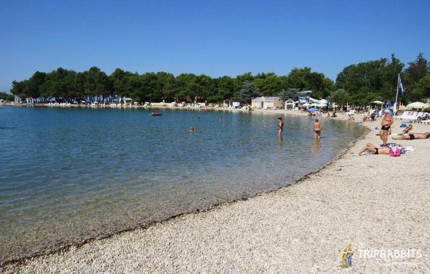 Kuca Za Odmor Petra Apartamento Cepljani Exterior foto